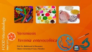 MEDI 2371 FOOD Microbiology Yersiniosis Yersinia enterocolitica Prof