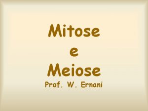 Mitose e Meiose Prof W Ernani O ciclo