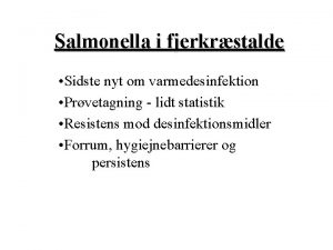 Salmonella i fjerkrstalde Sidste nyt om varmedesinfektion Prvetagning