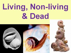 Living Nonliving Dead Matter Matter is made up