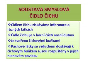 SOUSTAVA SMYSLOV IDLO ICHU vidlem ichu zskvme informace