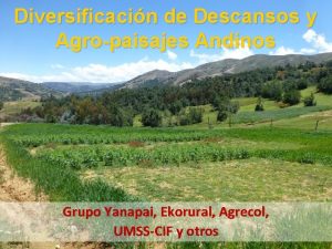 Diversificacin de Descansos y Agropaisajes Andinos Grupo Yanapai