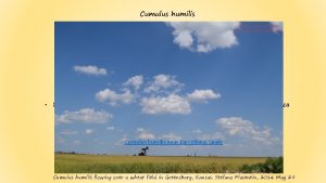 Cumulus humilis Vengono anche chiamati cumuli di bel