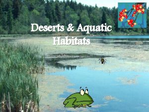 Deserts Aquatic Habitats Desert Deserts are arid regions