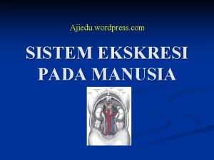 Ajiedu wordpress com SISTEM EKSKRESI PADA MANUSIA Proses