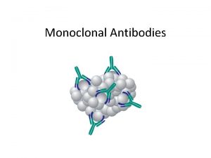 Monoclonal Antibodies Antibodies have important uses beyond fighting