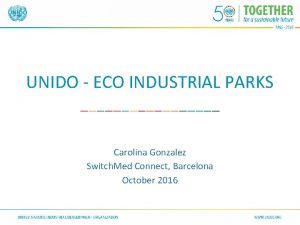 UNIDO ECO INDUSTRIAL PARKS Carolina Gonzalez Switch Med