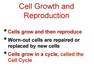 Cell Growth and Reproduction Cells grow and then