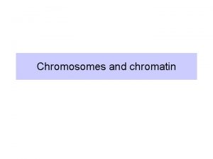 Chromosomes and chromatin Chromosomes organize and package genes