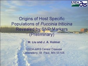 Origins of Host Specific Populations of Puccinia triticina