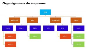 Organigramas de empresas CEO MARKETING MKG1 1 MKG1