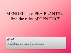 MENDEL used PEA PLANTS to find the rules