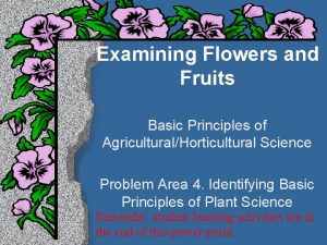 Examining Flowers and Fruits Basic Principles of AgriculturalHorticultural