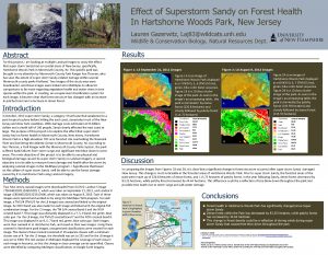 Effect of Superstorm Sandy on Forest Health In