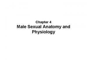 Chapter 4 Male Sexual Anatomy and Physiology The