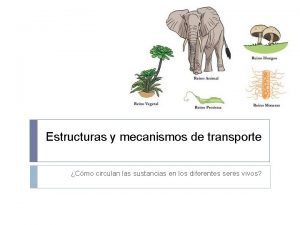 Estructuras y mecanismos de transporte Cmo circulan las