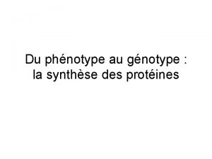 Du phnotype au gnotype la synthse des protines