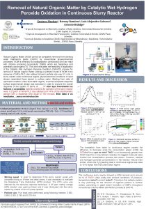 Removal of Natural Organic Matter by Catalytic Wet