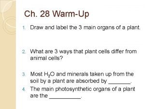 Ch 28 WarmUp 1 Draw and label the