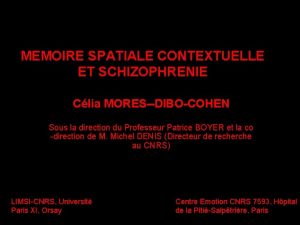 MEMOIRE SPATIALE CONTEXTUELLE ET SCHIZOPHRENIE Clia MORESDIBOCOHEN Sous