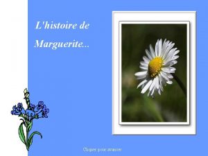 Lhistoire de Marguerite Cliquer pour avancer Voici lhistoire