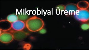 Mikrobiyal reme Dr Hilal AY Bakteriyel hcre blnmesi