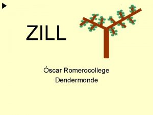 ZILL scar Romerocollege Dendermonde Onze RC boom wordt