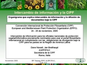 Intercambio de informacin y la CIPF Organigrama que