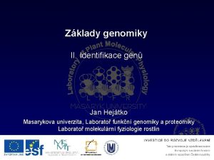 Zklady genomiky II Identifikace gen Jan Hejtko Masarykova