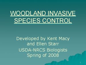WOODLAND INVASIVE SPECIES CONTROL Developed by Kent Macy
