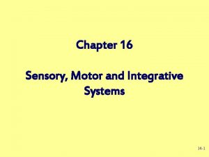 Chapter 16 Sensory Motor and Integrative Systems 14