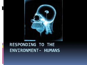 RESPONDING TO THE ENVIRONMENT HUMANS Nervous system nerves