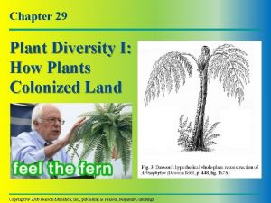 Chapter 29 Plant Diversity I How Plants Colonized