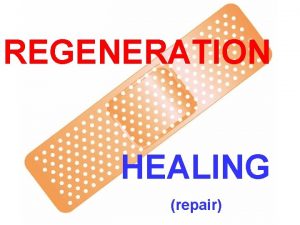 REGENERATION HEALING repair LEARNING OBJECTIVES Review the normal