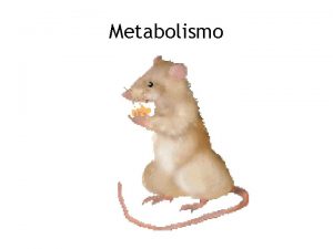 Metabolismo Definicin de metabolismo Es la suma de