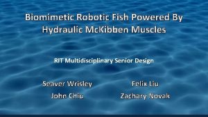 Biomimetic Robotic Fish Powered By Hydraulic Mc Kibben