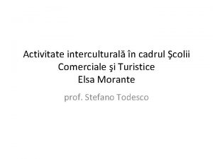 Activitate intercultural n cadrul colii Comerciale i Turistice