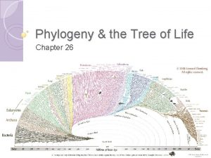 Phylogeny the Tree of Life Chapter 26 Phylogeny