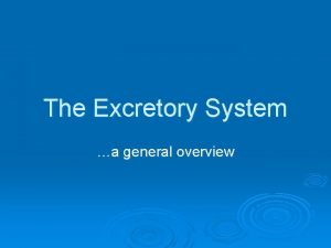 The Excretory System a general overview Excretory Organs