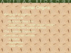 Animal Origins Bringing it all together History of