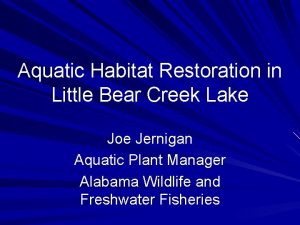 Aquatic Habitat Restoration in Little Bear Creek Lake