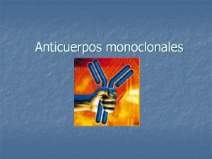 Anticuerpos monoclonales n n Un anticuerpo monoclonal es