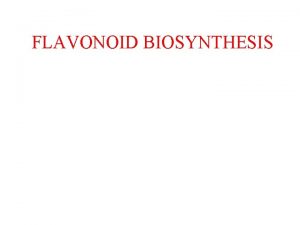 FLAVONOID BIOSYNTHESIS Simple phenolics Caffeic acid ferulic acid