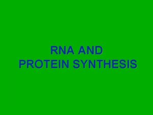 RNA AND PROTEIN SYNTHESIS How your cell makes