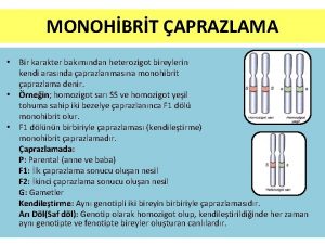 MONOHBRT APRAZLAMA Bir karakter bakmndan heterozigot bireylerin kendi