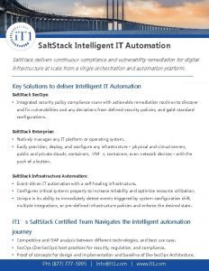 Salt Stack Intelligent IT Automation Salt Stack delivers