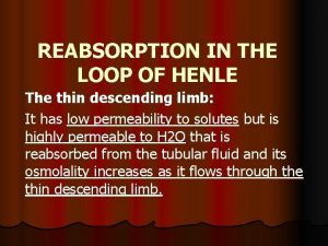 REABSORPTION IN THE LOOP OF HENLE The thin