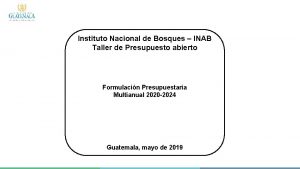 Instituto Nacional de Bosques INAB Taller de Presupuesto