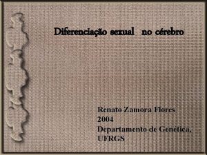 Diferenciao sexual no crebro Renato Zamora Flores 2004