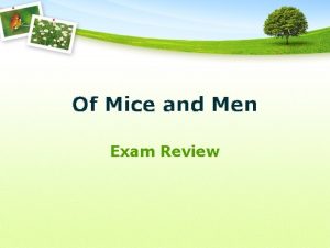 Of Mice and Men Exam Review Characters George